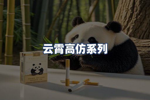云霄高仿系列